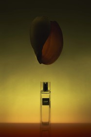 En collaboration avec Elisa Juge-Holtermann